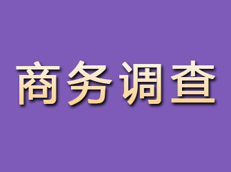 高要商务调查